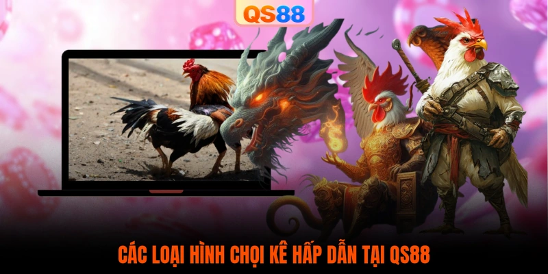 Các loại hình chọi kê hấp dẫn tại QS88