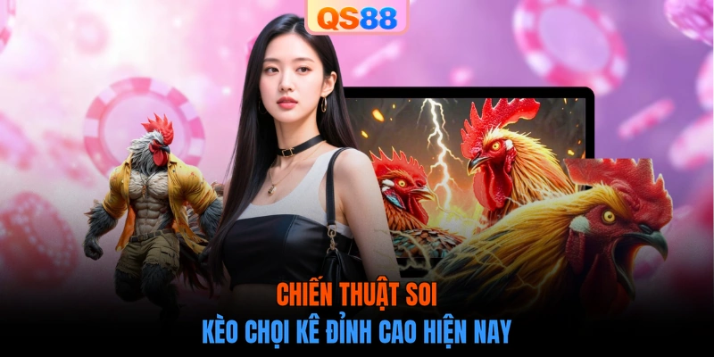 Chiến thuật soi kèo chọi kê đỉnh cao hiện nay